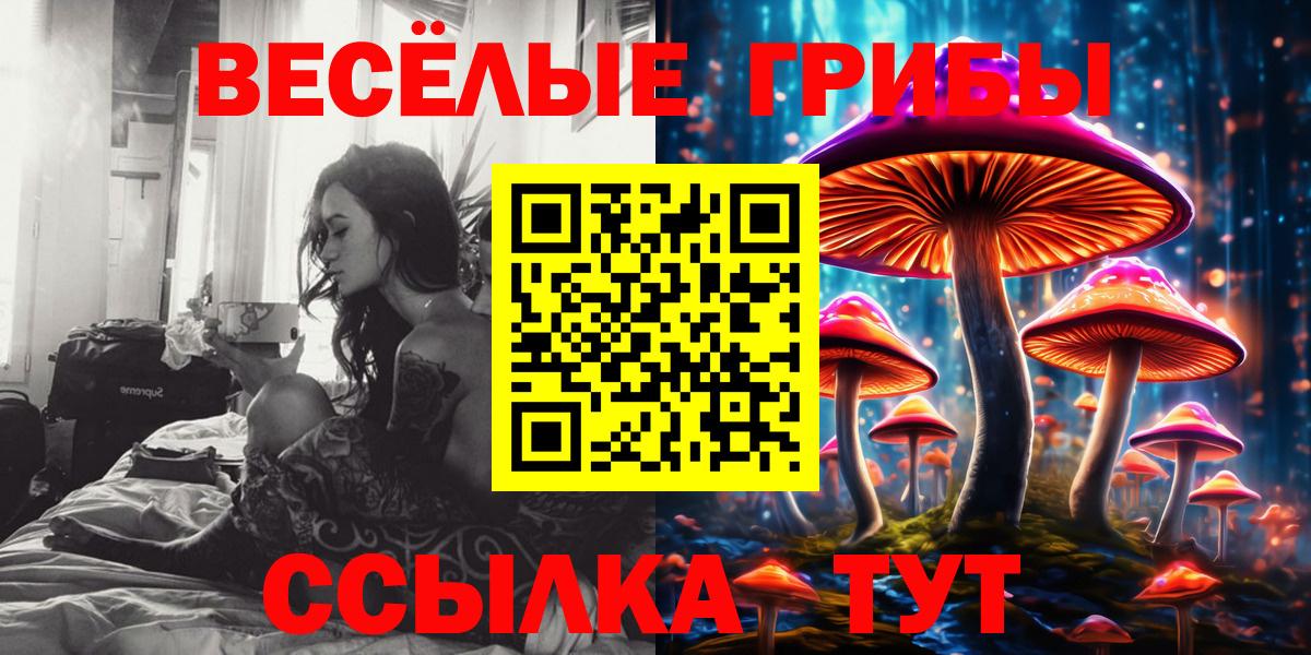 Галлюциногенные грибы Cubensis Муром