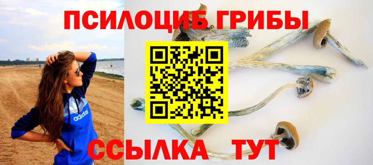 Псилоцибиновые грибы ЛСД  Вход с VPN  Муром 